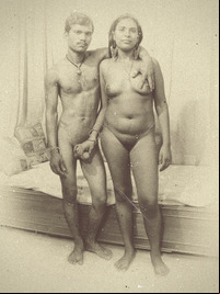 indian porn 