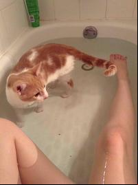 picture of a wet pussy gallery iiaxy