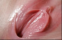 small pussy close up pics photos gallery beautiful tight pussy close