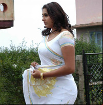 free hot sexy pictures namitha sexy hot photo gallery