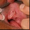 close vagina pictures